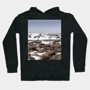 Rocks and snow on the coast of frozen sea Hoodie